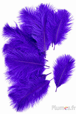 Struisvogel Bellies -8-13 cm - violet